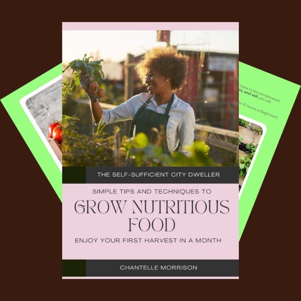Urban Gardening: The Self-Sufficient City Dweller - Image 2