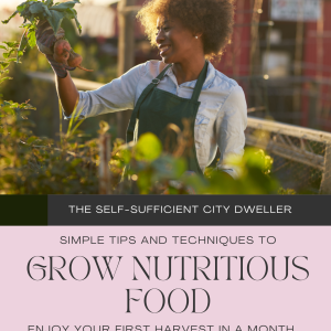 Urban Gardening: The Self-Sufficient City Dweller