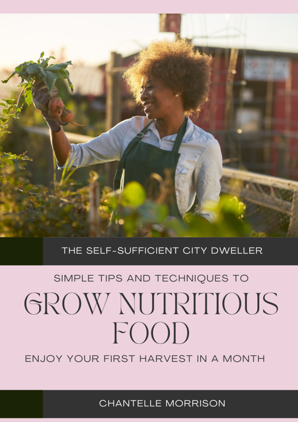Urban Gardening: The Self-Sufficient City Dweller